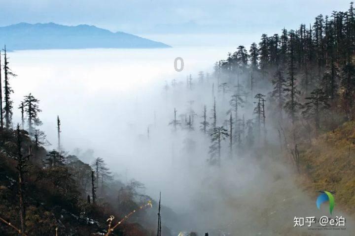 女人说男人假正经，耍流氓，是什么意思？游戏画面